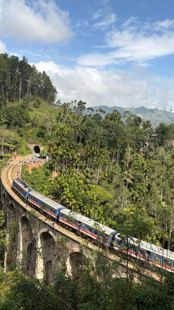 Cosa vedere ad Ella, Nine Arches Bridge